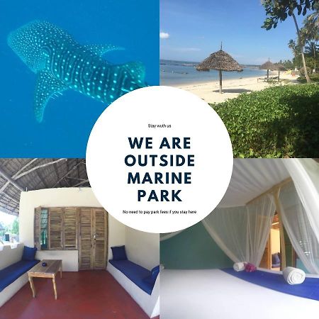 לינה וארוחת בוקר Kilindoni Afro Whale Shark Safari מראה חיצוני תמונה