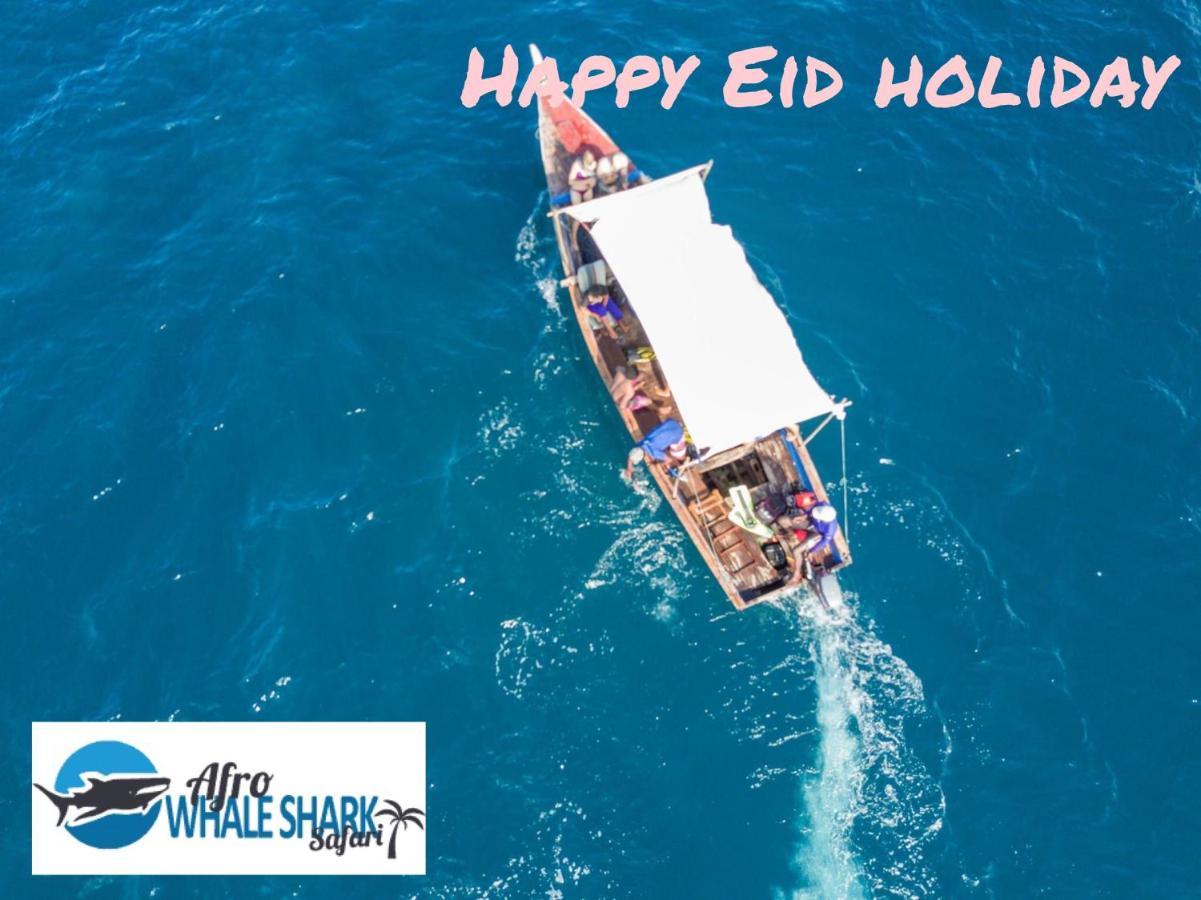 לינה וארוחת בוקר Kilindoni Afro Whale Shark Safari מראה חיצוני תמונה
