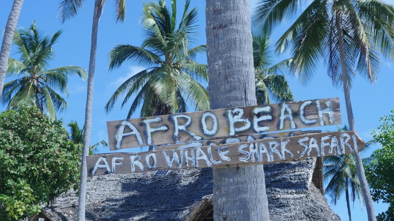 לינה וארוחת בוקר Kilindoni Afro Whale Shark Safari מראה חיצוני תמונה